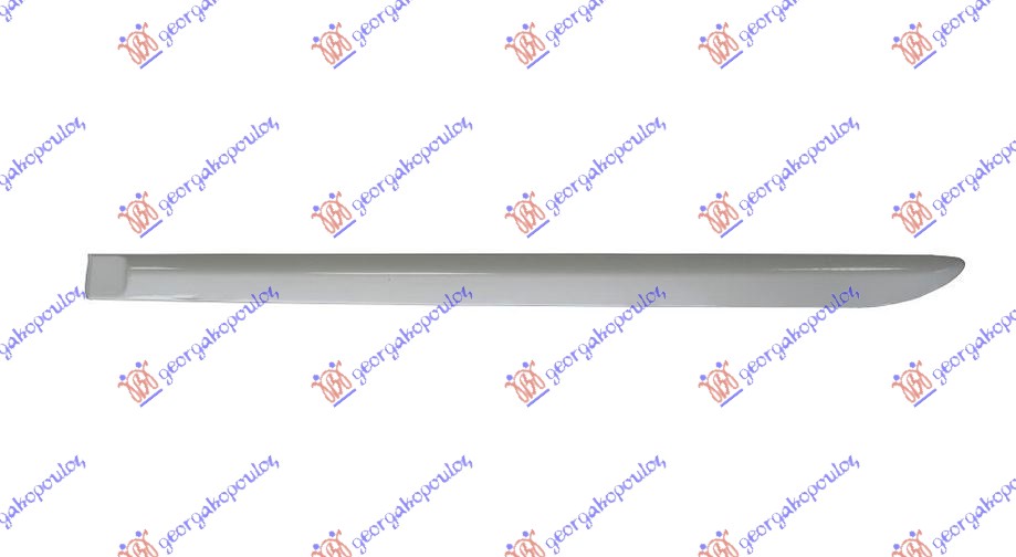 REAR DOOR MOULDING