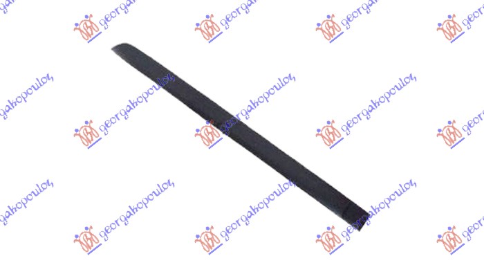 REAR DOOR MOULDING
