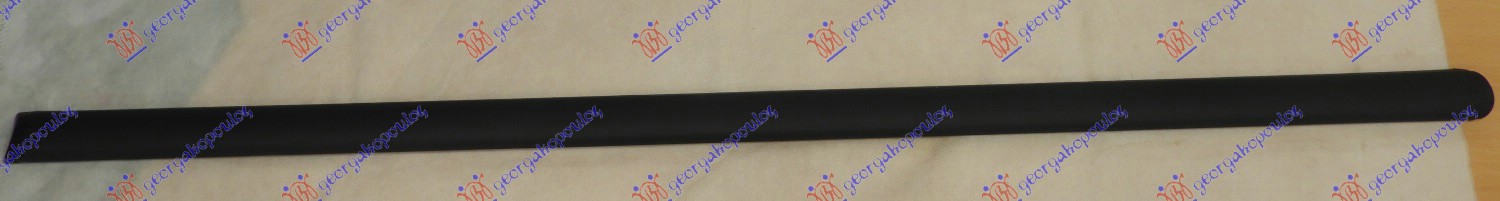 FRONT DOOR SIDE MOULDING (O)