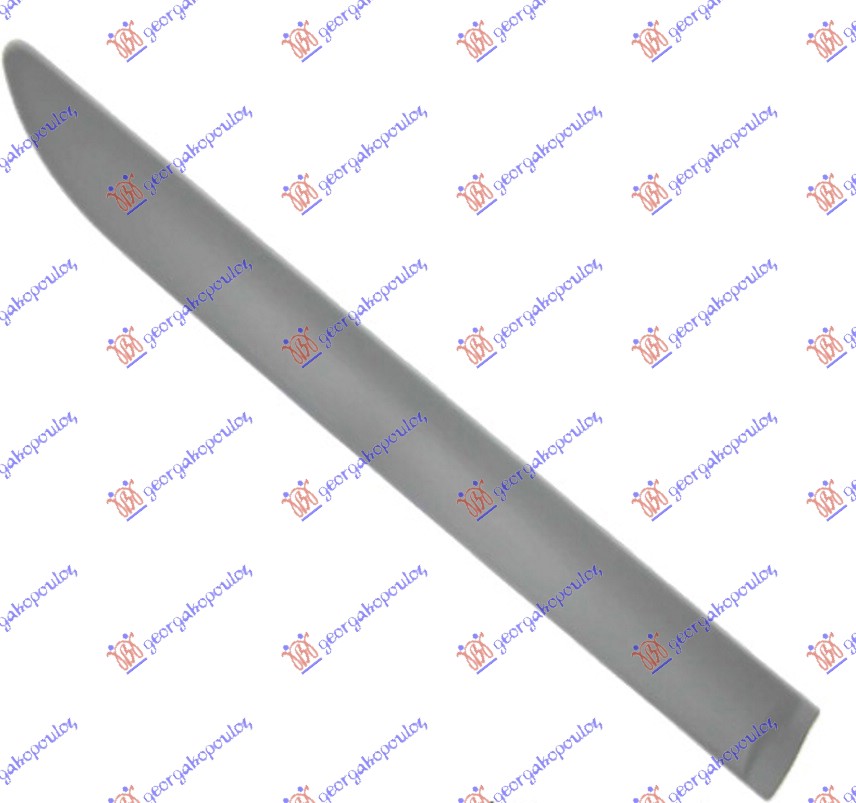 REAR DOOR MOULDING