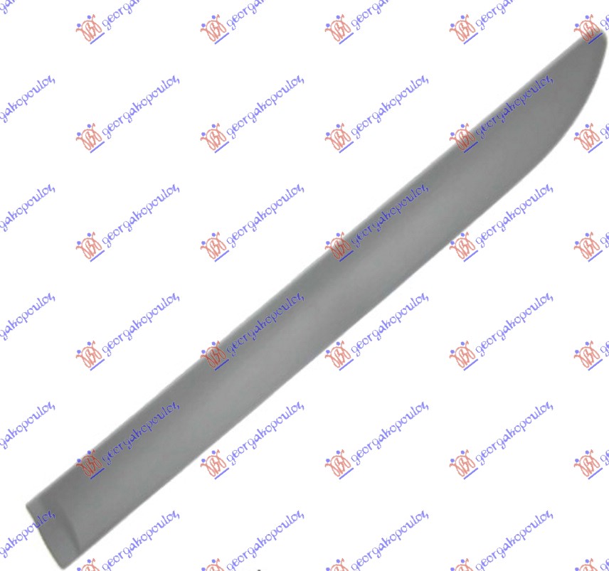 REAR DOOR MOULDING