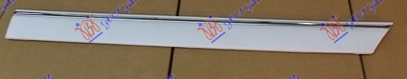 REAR DOOR MOULDING