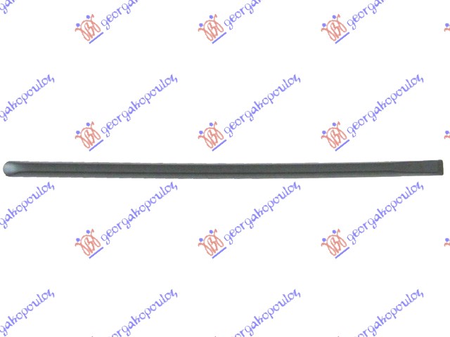 REAR DOOR SIDE MOULDING
