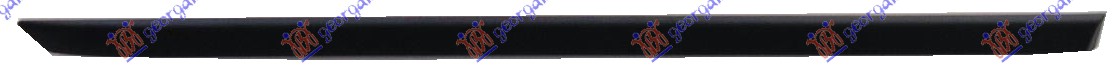 REAR DOOR MOULDING