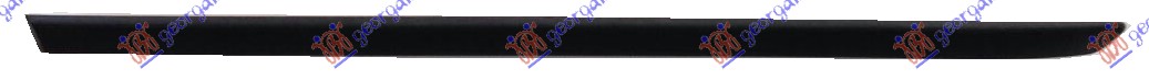 REAR DOOR MOULDING