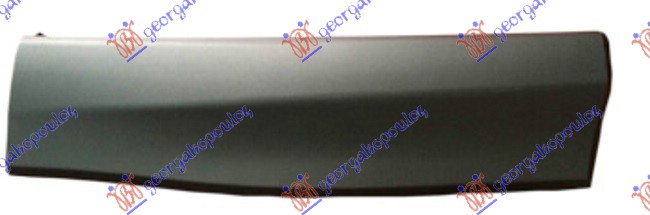 REAR DOOR MOULDING