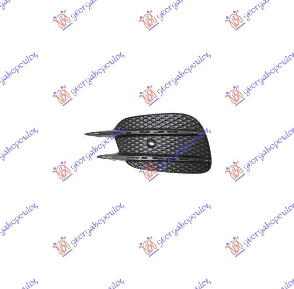 FRONT BUMPER GRILLE (W/PDS) (E43 AMG)