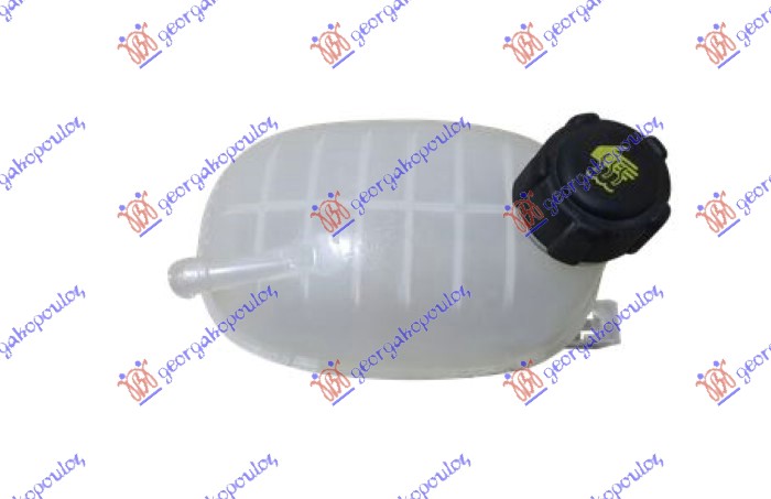 AUXILIARY TANK W/CAP