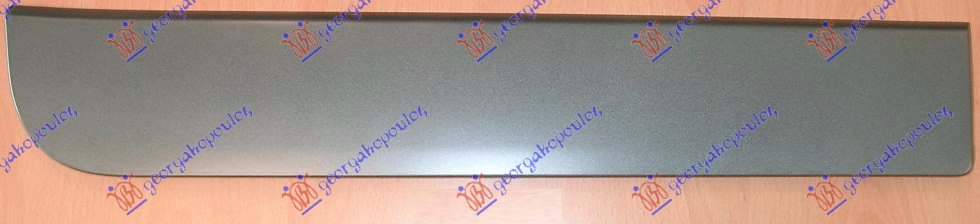 REAR DOOR MOULDING