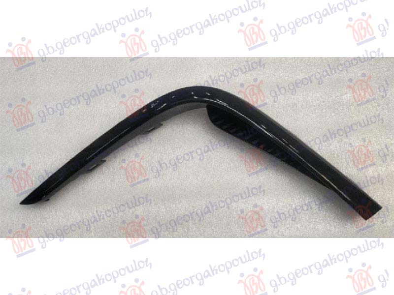 FRONT BUMPER MOULDING
