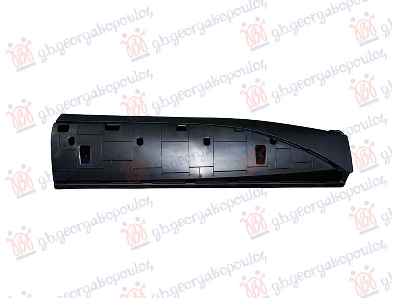 REAR DOOR MOULDING